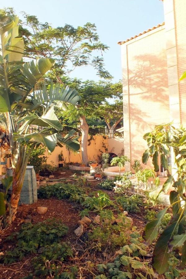 Casa Nea Apartment El Rosario  Екстериор снимка